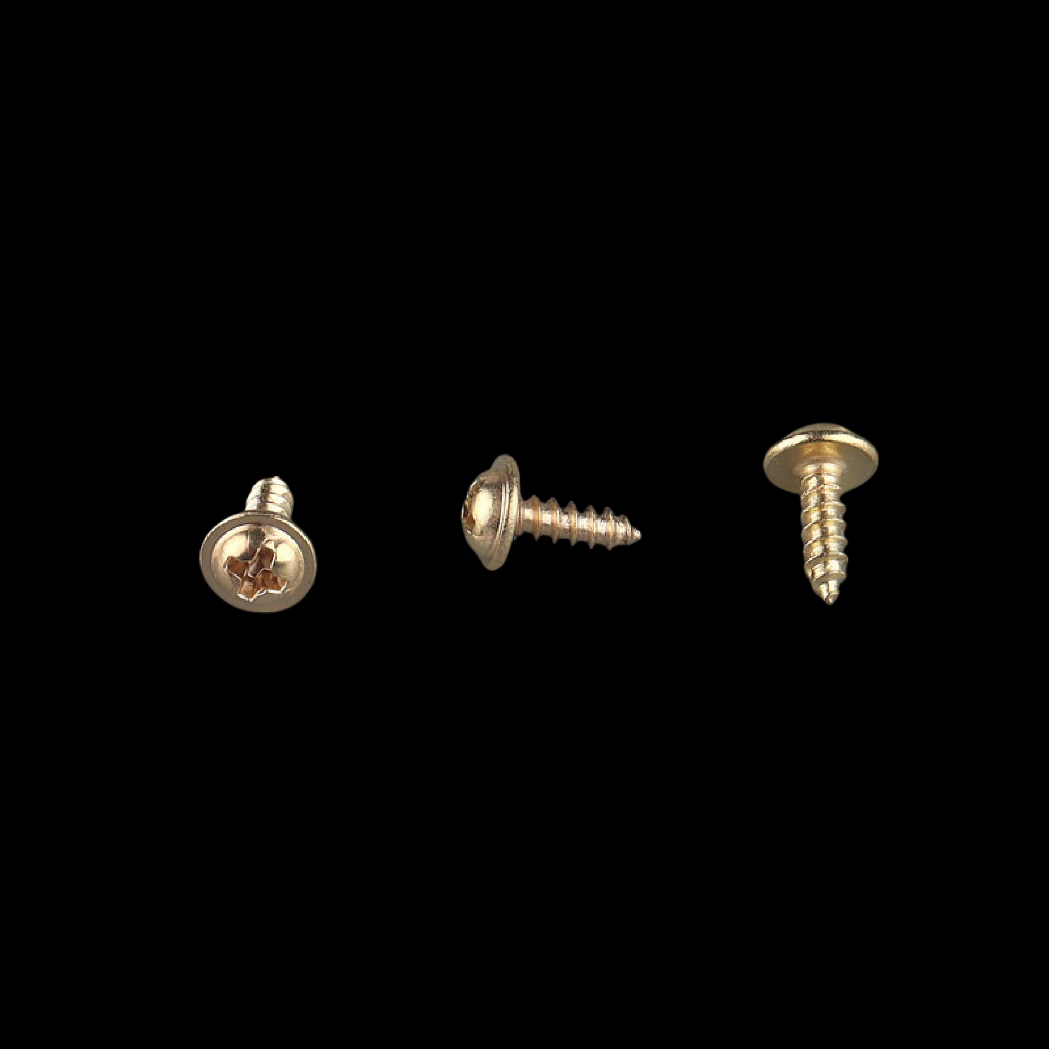 Gold Washer Head Self-Tapping Screw 3x10mm Phillips drive for picture frame assembly