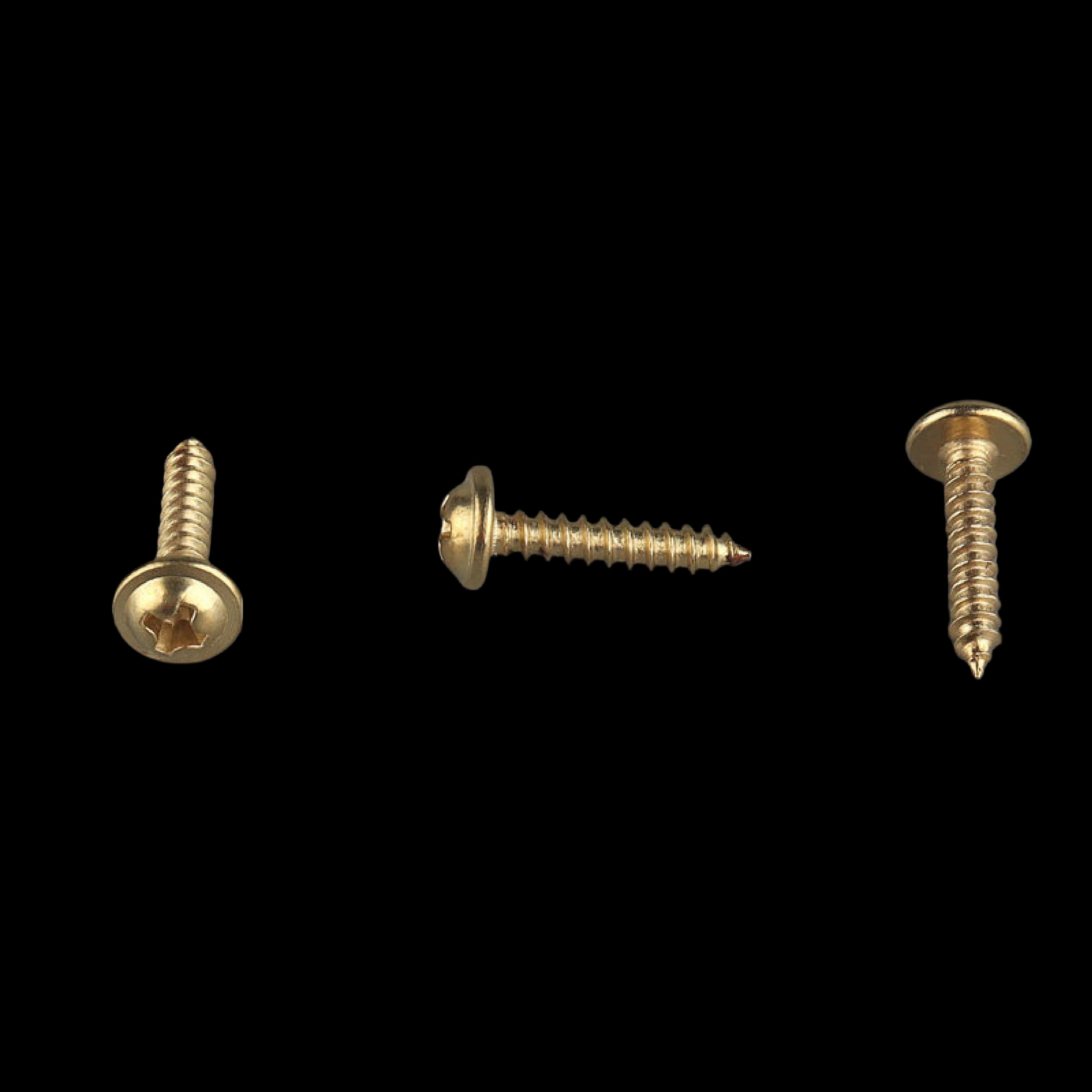 Gold Washer Head Self-Tapping Screw 3x16mm longest gold series for thick hardwood gallery frames